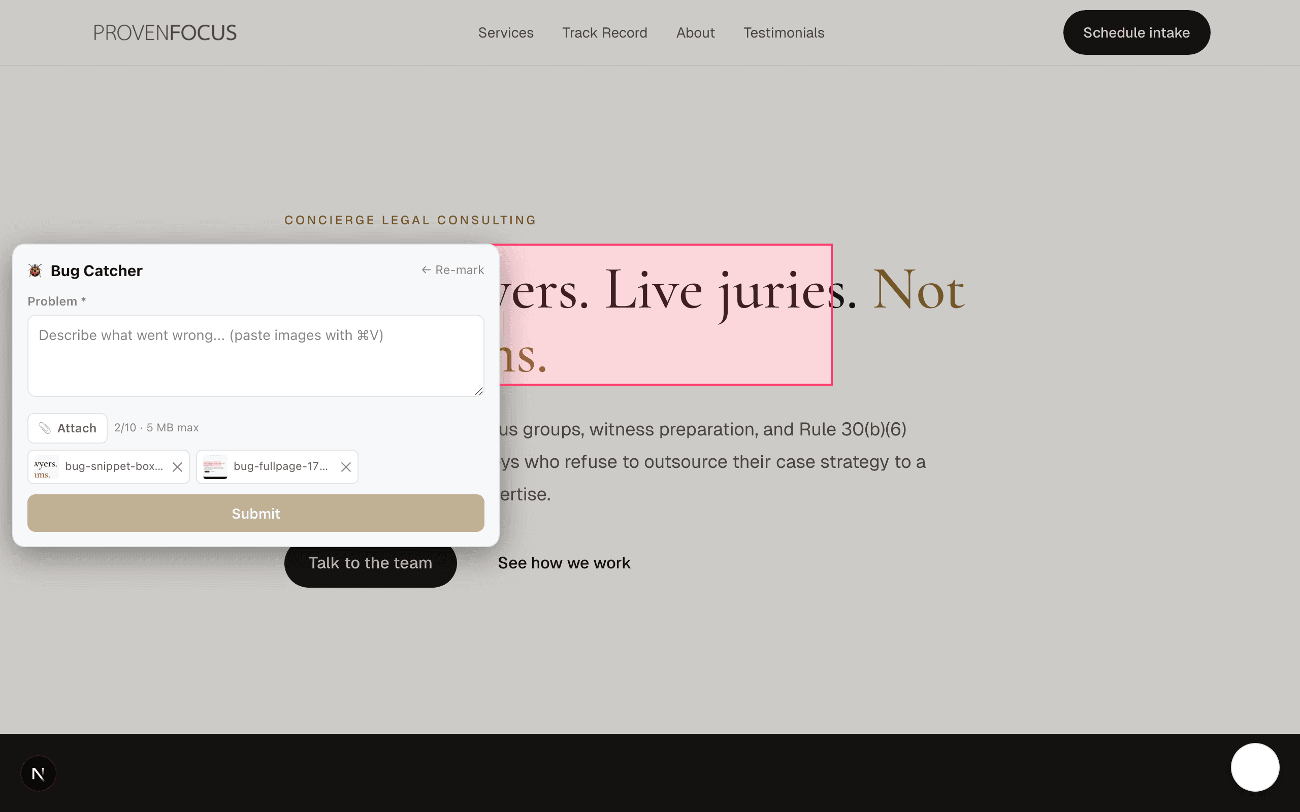 A pink box drawn over the hero text with the Bug Catcher composer open